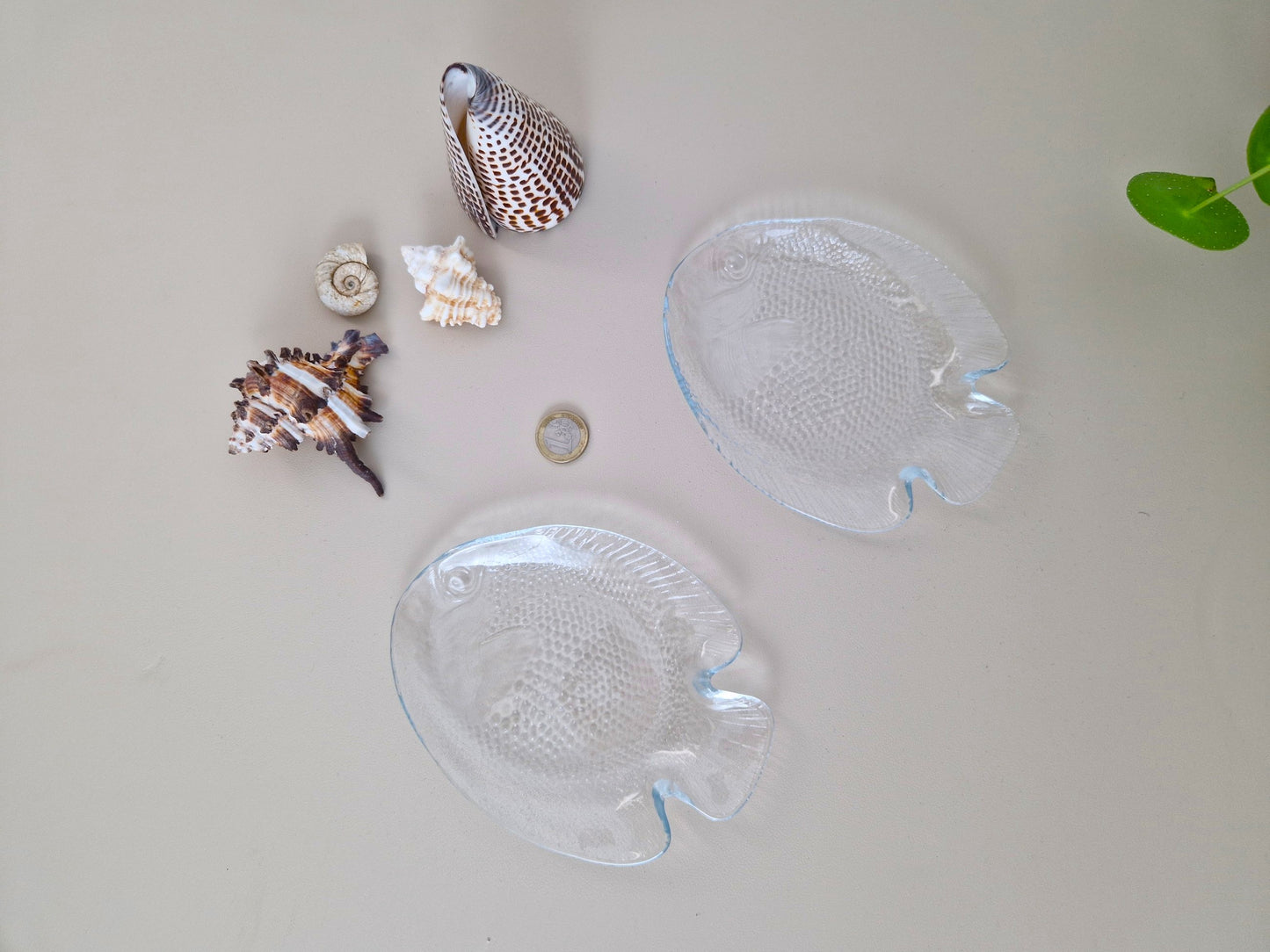 visschalen brocante frankrijk