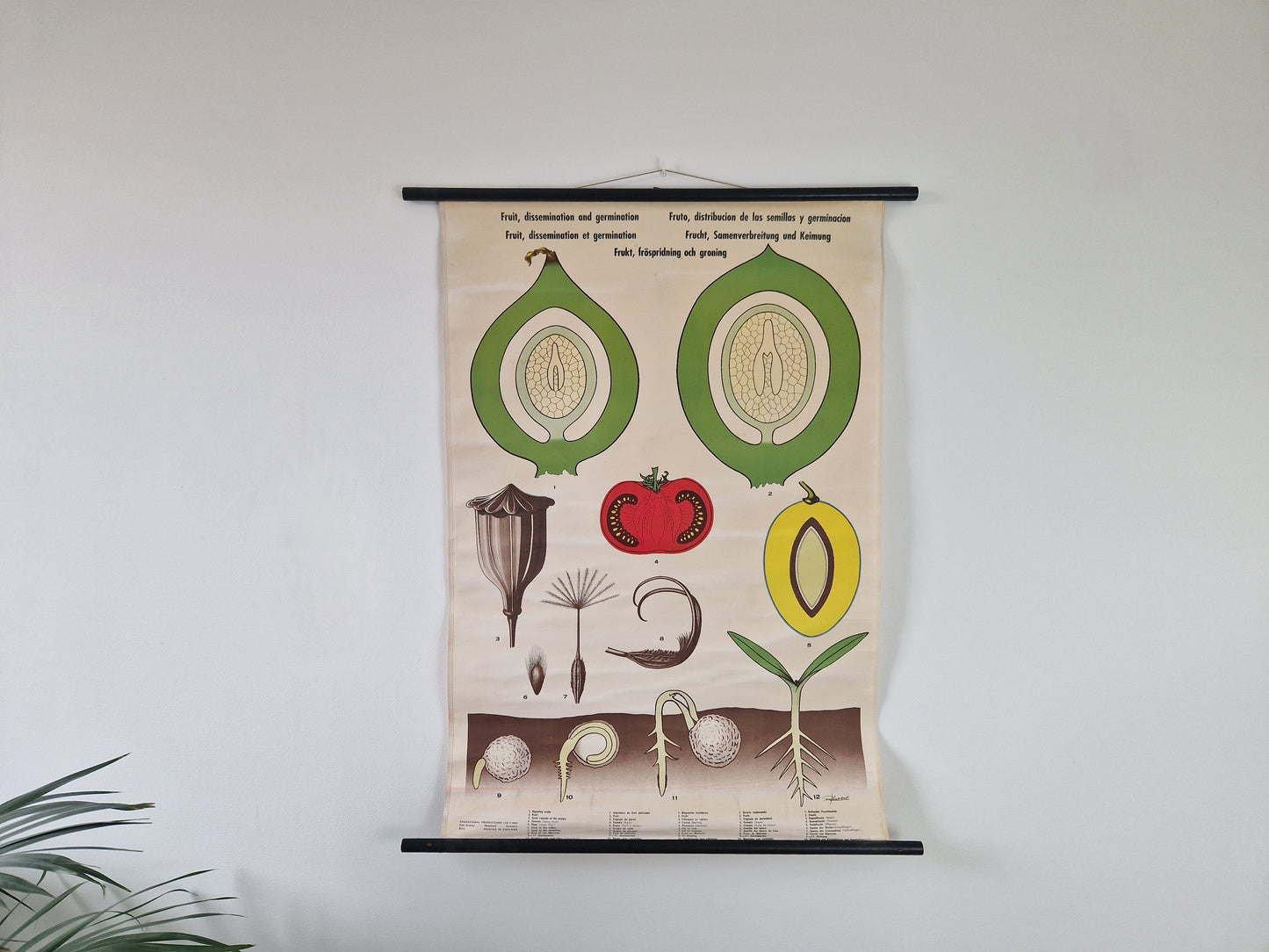 webwinkel schoolkaarten vintage en brocante