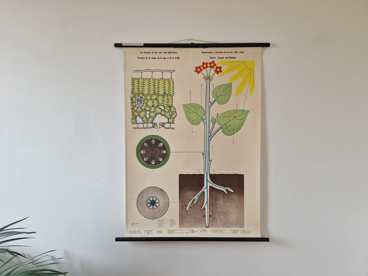 schoolwandkaart vintage
