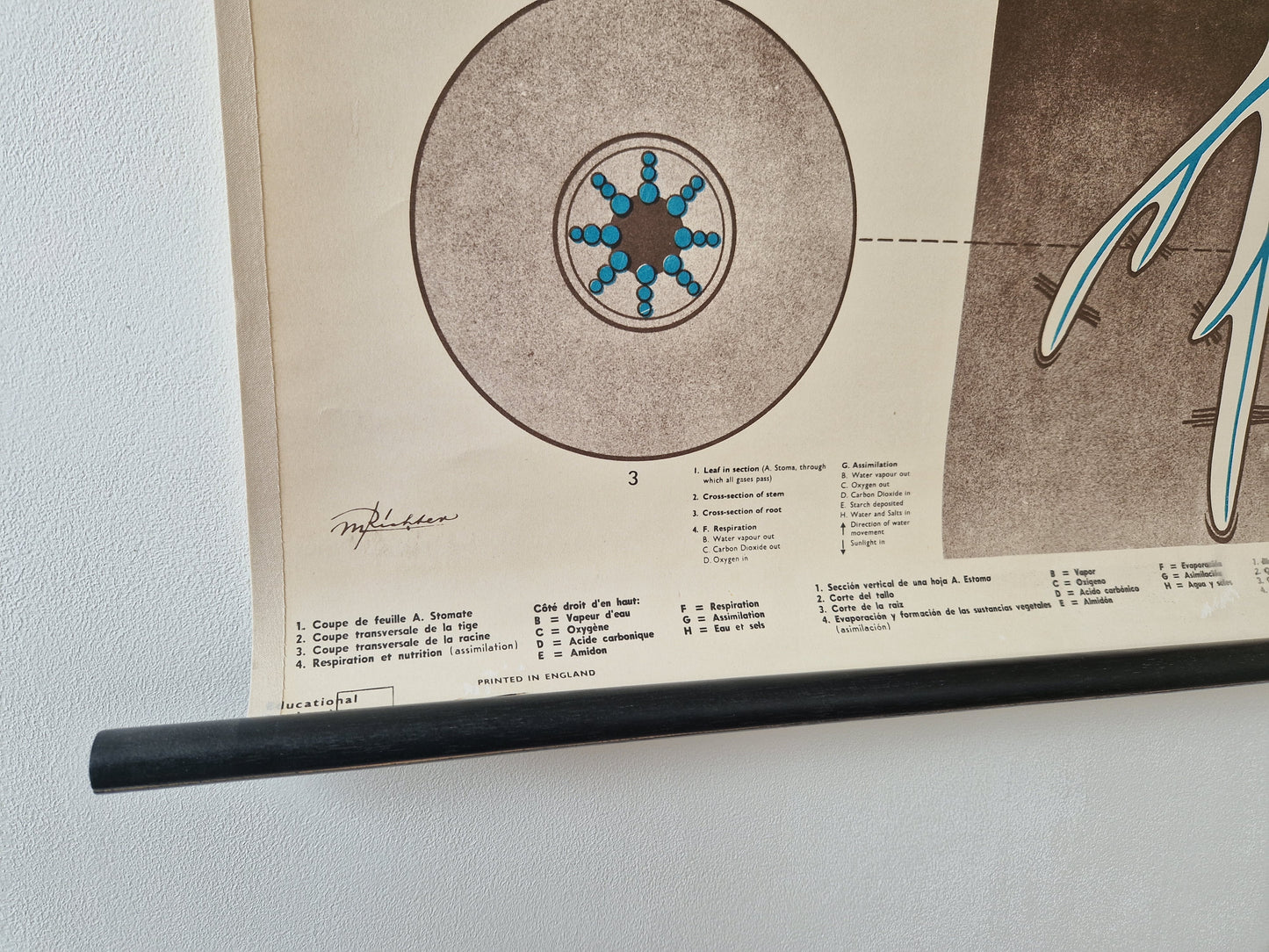 vintage schoolkaart