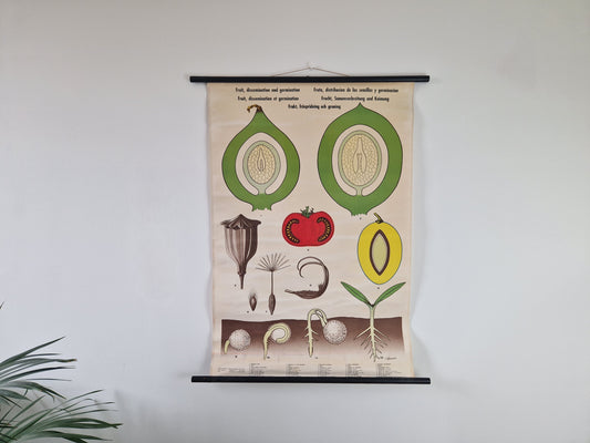 koop online vintage schoolkaart