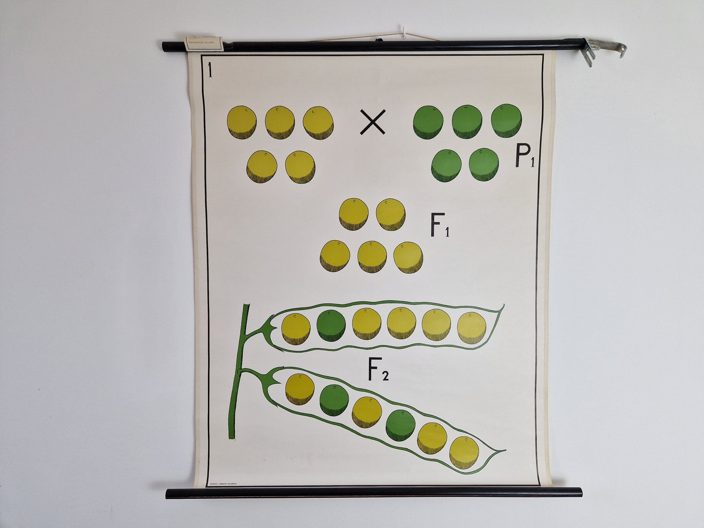 Webshop schoolplaten