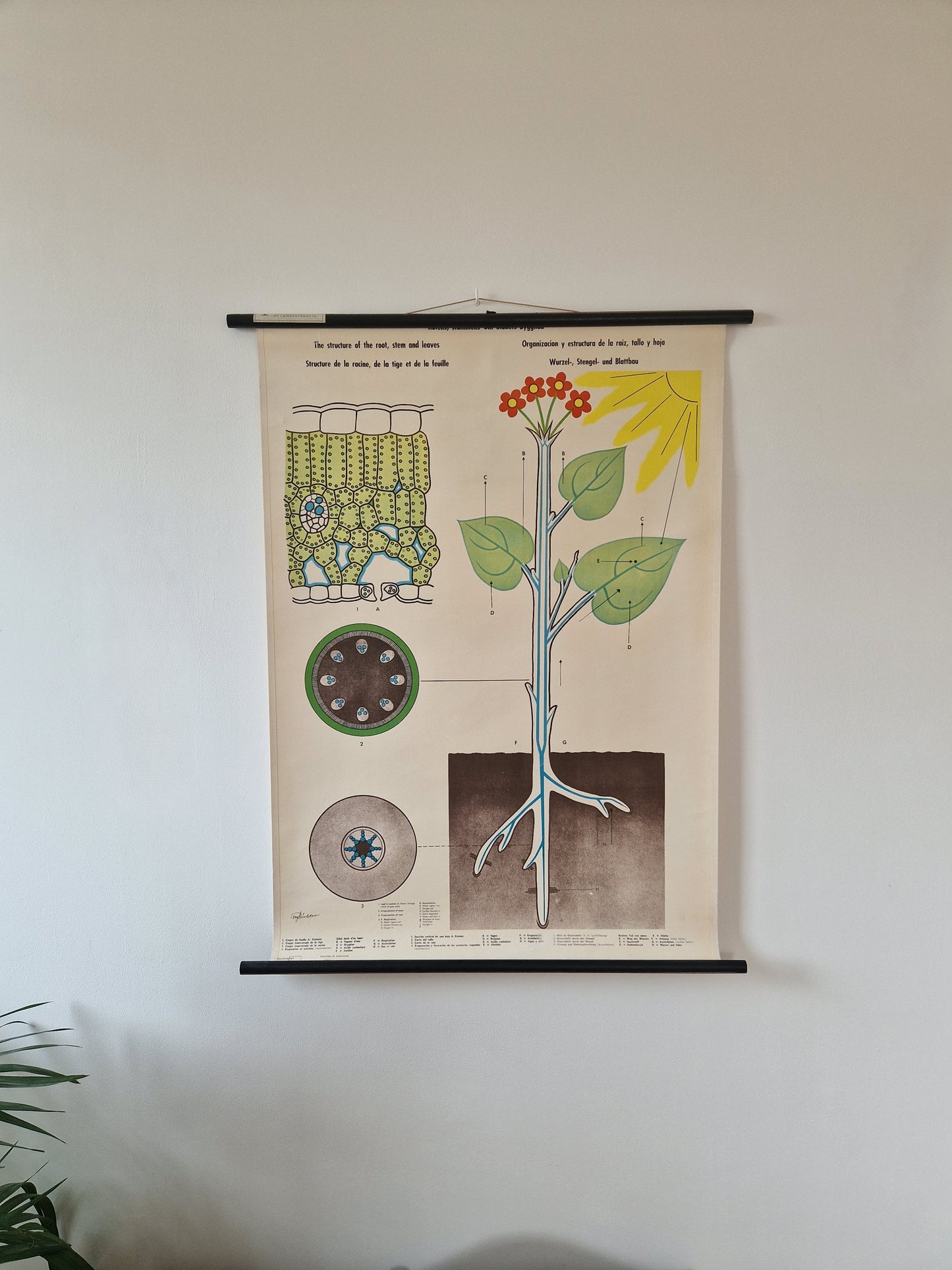 brocante educatieve schoolkaart
