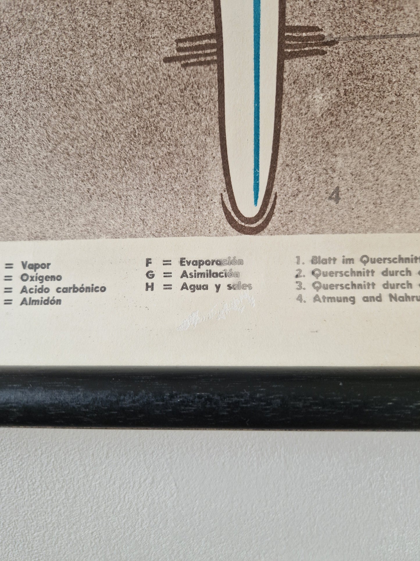vintage educatieve schoolkaart
