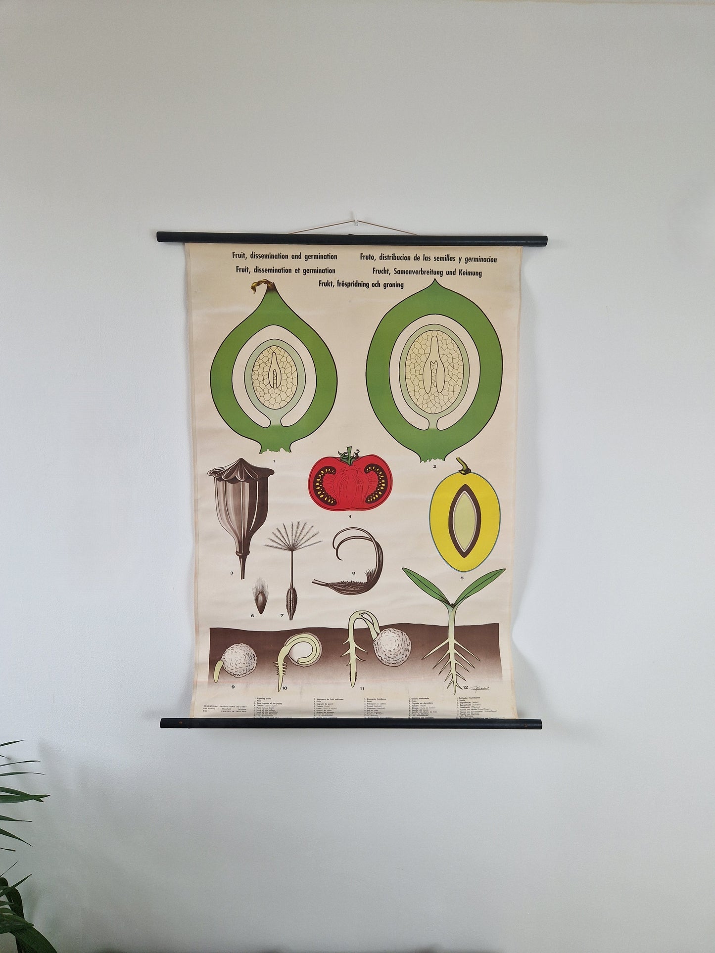 schoolwandkaart vintage