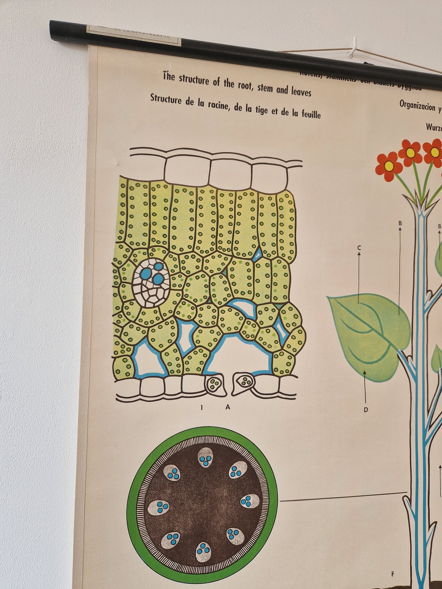 webwinkel schoolkaart