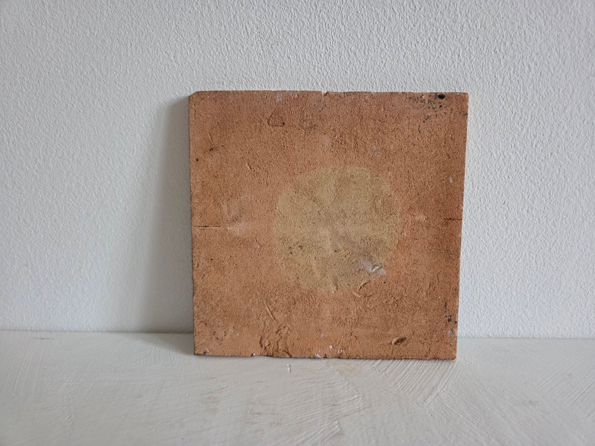 blauw witte tegel met struik en figuren
