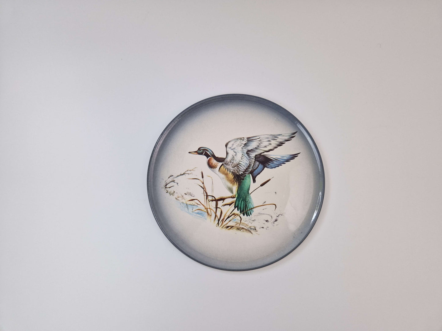 Decoratief rond bord met eendmotief