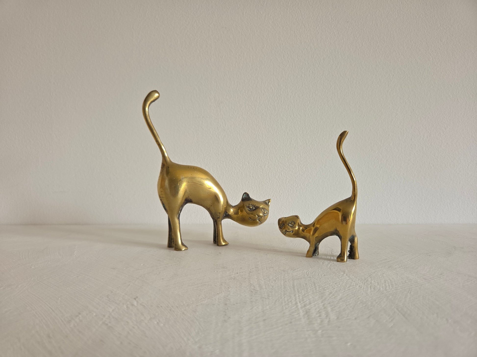 messing katten duo moederkat kindje gebruikssporen