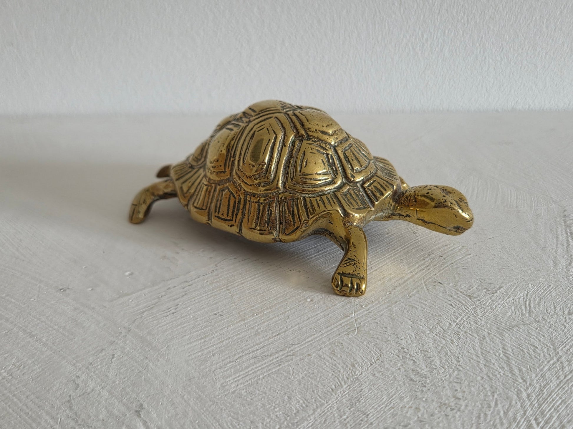 antiek messing schildpad schild reliëf patina