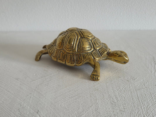 antiek messing schildpad schild reliëf patina